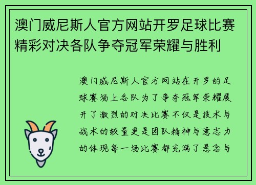 澳门威尼斯人官方网站开罗足球比赛精彩对决各队争夺冠军荣耀与胜利