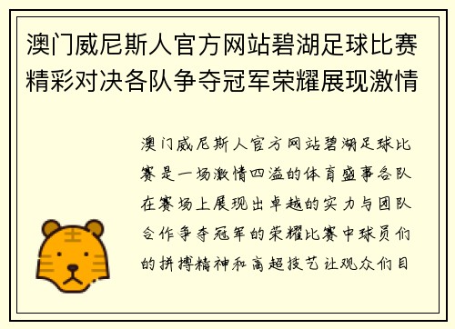 澳门威尼斯人官方网站碧湖足球比赛精彩对决各队争夺冠军荣耀展现激情与实力