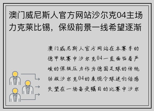 澳门威尼斯人官方网站沙尔克04主场力克莱比锡，保级前景一线希望逐渐明朗