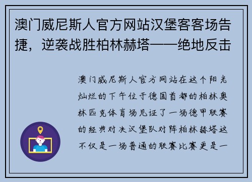 澳门威尼斯人官方网站汉堡客客场告捷，逆袭战胜柏林赫塔——绝地反击的精彩时刻